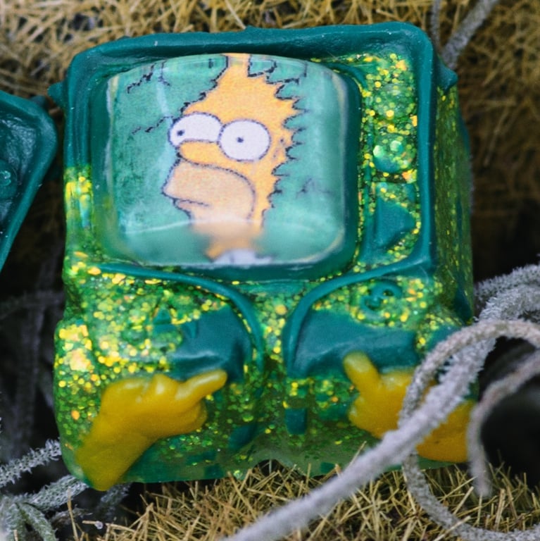 Homer Hide