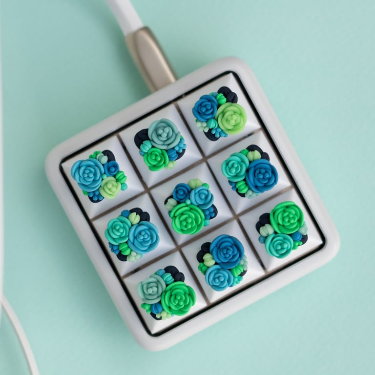 DSA PetriKeys