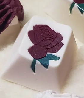 La Vie en La Rosa