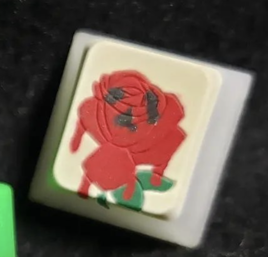 The Cynical Rose