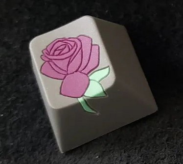 La Rosa