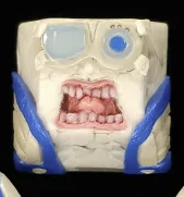 Bluechewed