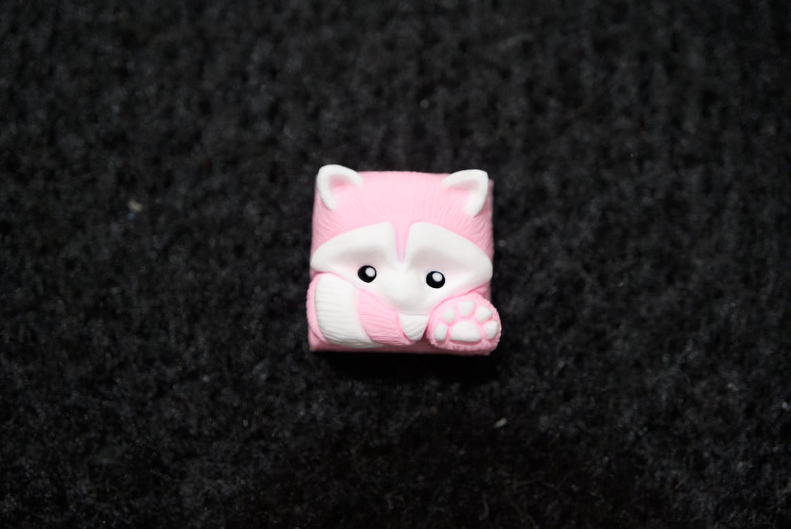 Bubble Gum