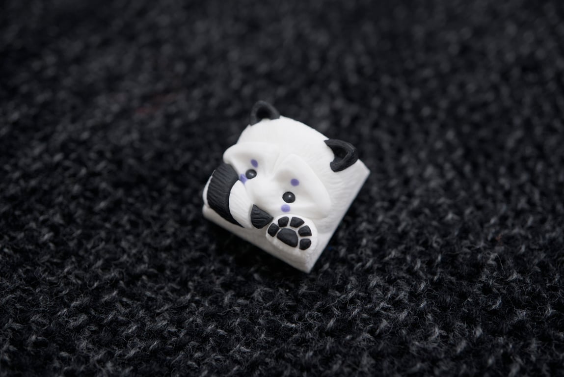 Negative Kaonashi
