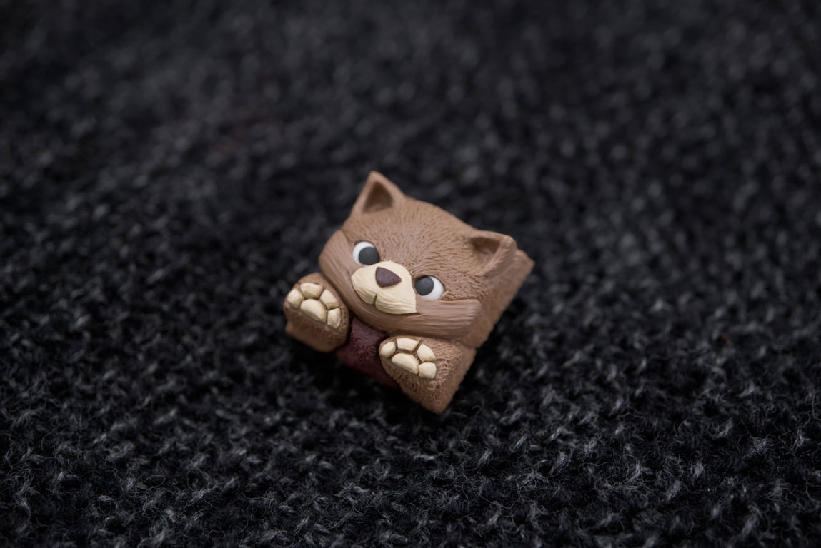 Teddy