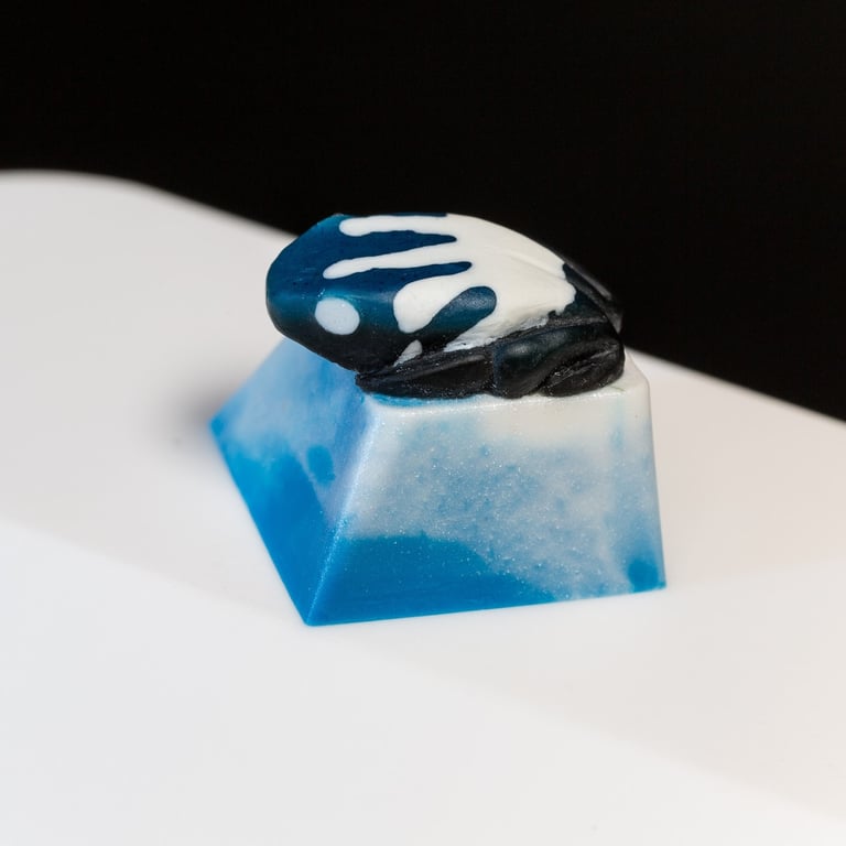 Signal Blue