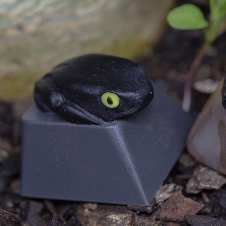 Salem