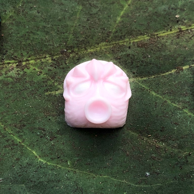 Rosa