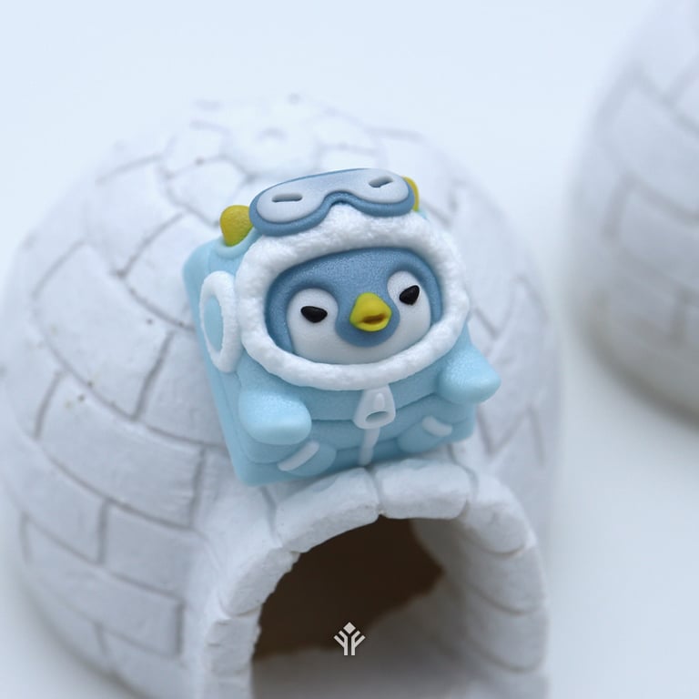 Igloo Winter Blue