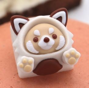 Tiramisu R2