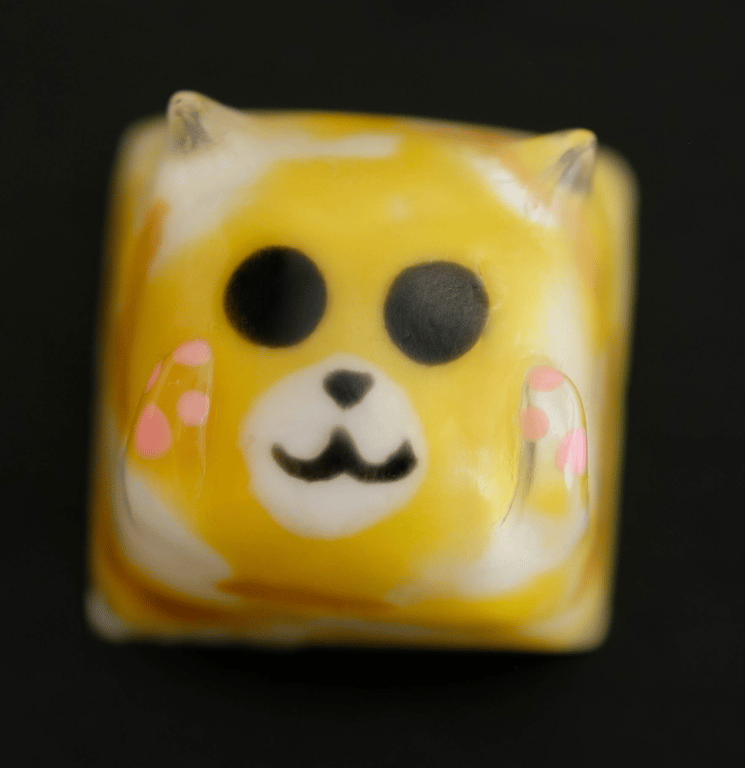 Zappy Nya