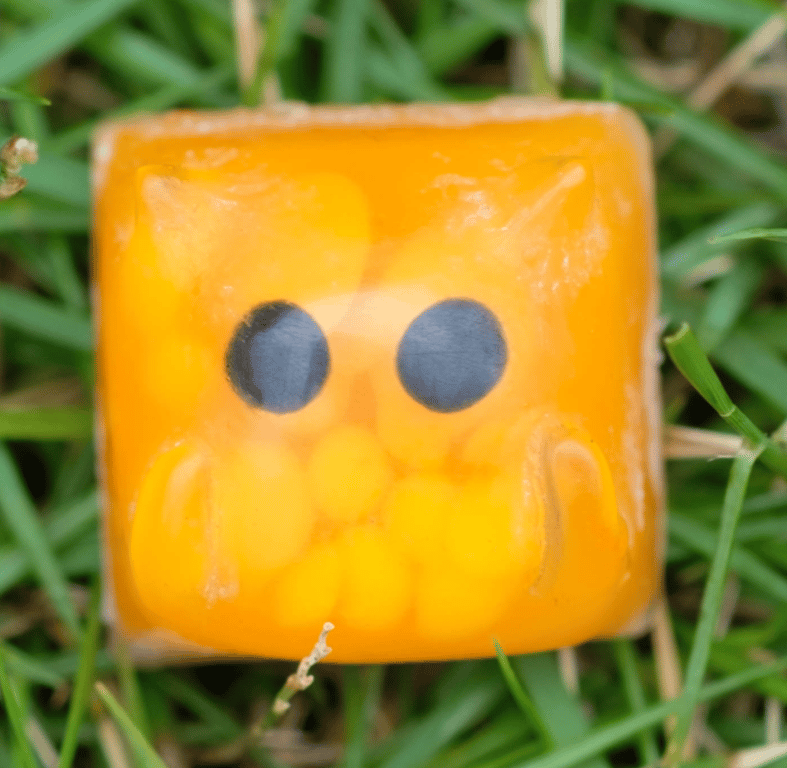 Orange Burbbs