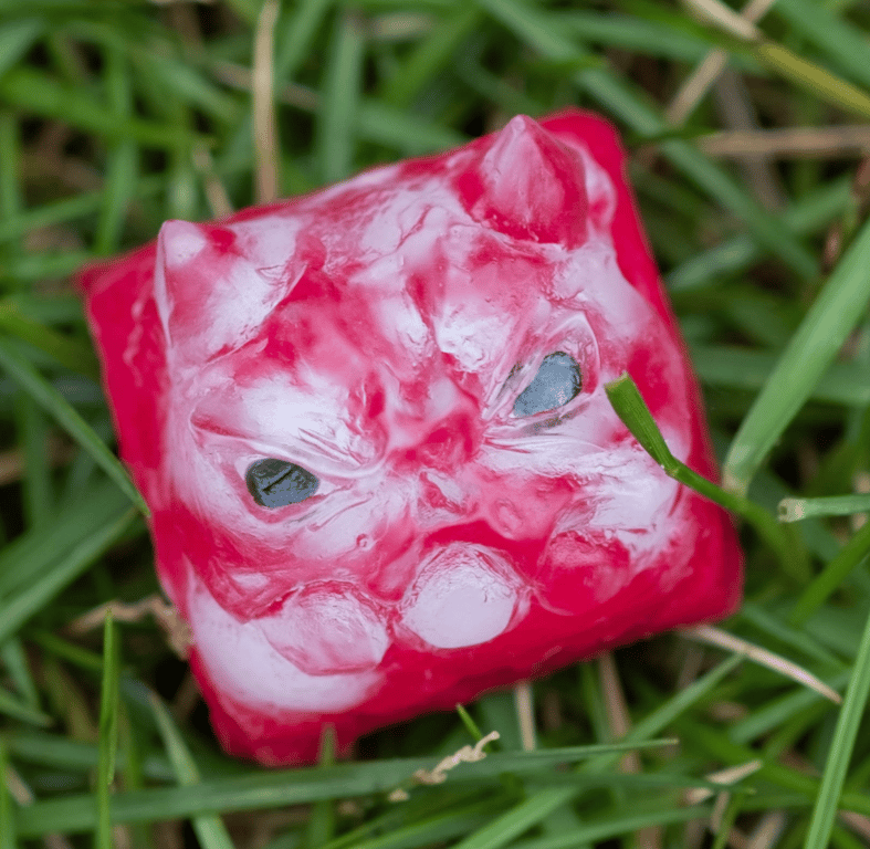 Berry Burbbs