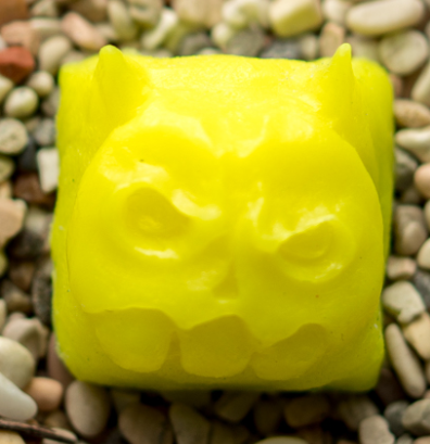 Pineapple Blend
