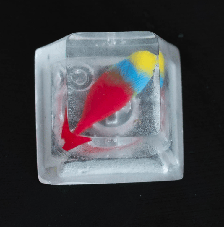 RgB