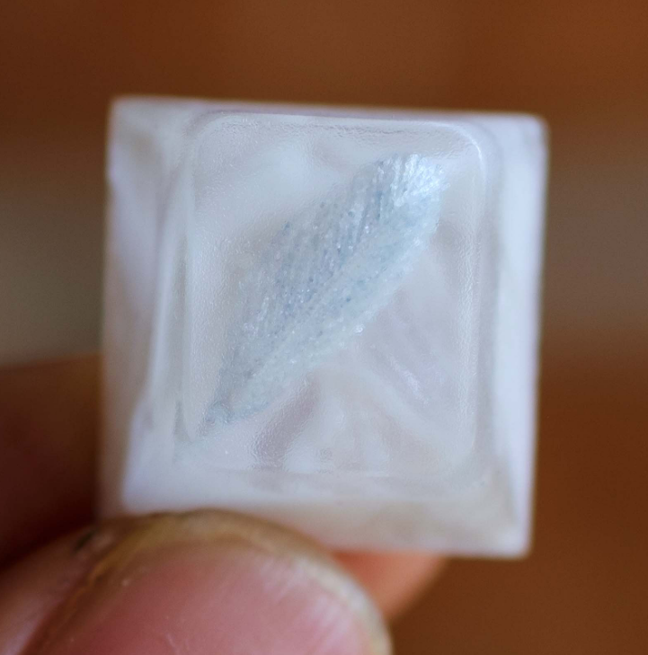 SnowPearl