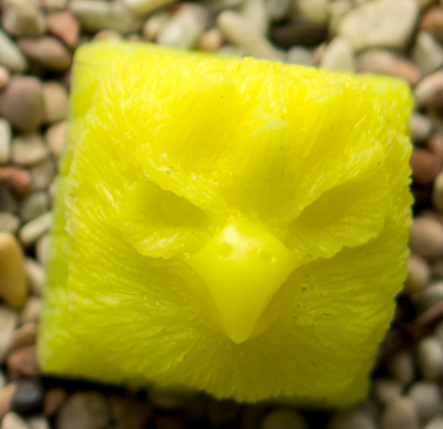 Pineapple Blend