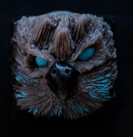 Skydolch