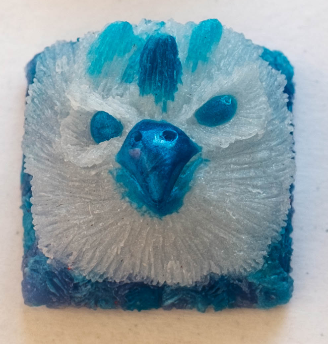 Antartic