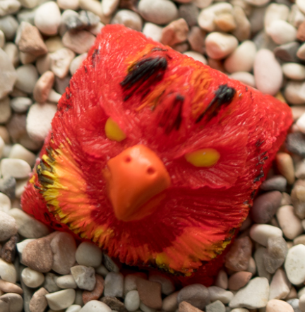 Alpinia