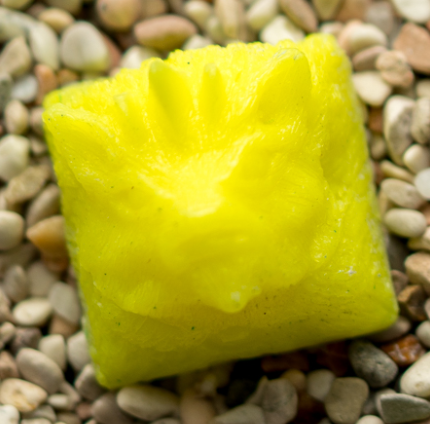 Pineapple Blend