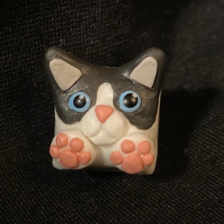 Catly