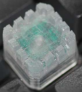 Ice Fort