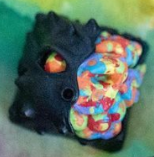 Rainbow Fug Varietal