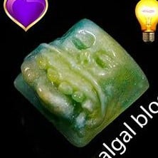 Algal Bloom