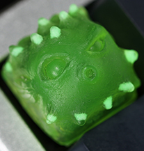 U-292 Lime