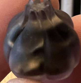 Grim Cloves