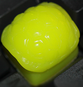 Ecto
