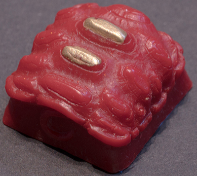 Lacquered Brassback