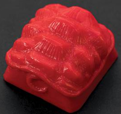 Primary Proto