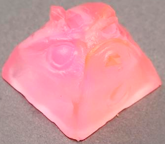 Anti-Biosis