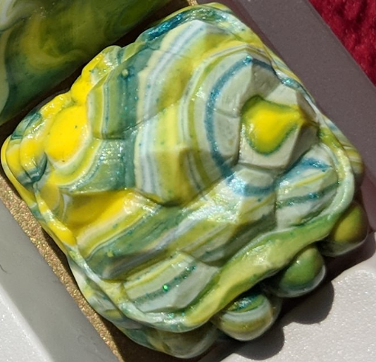 Day 38 - Chloroplast