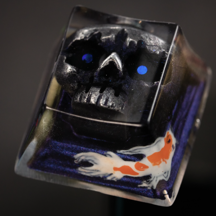 Koi