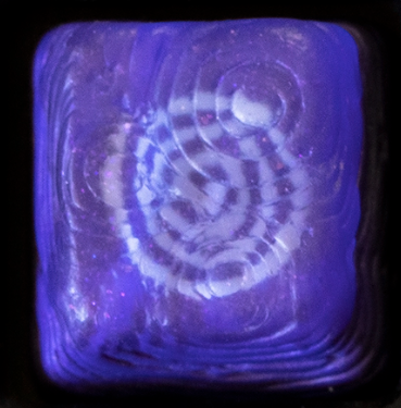 Mortal Coil Parsnip