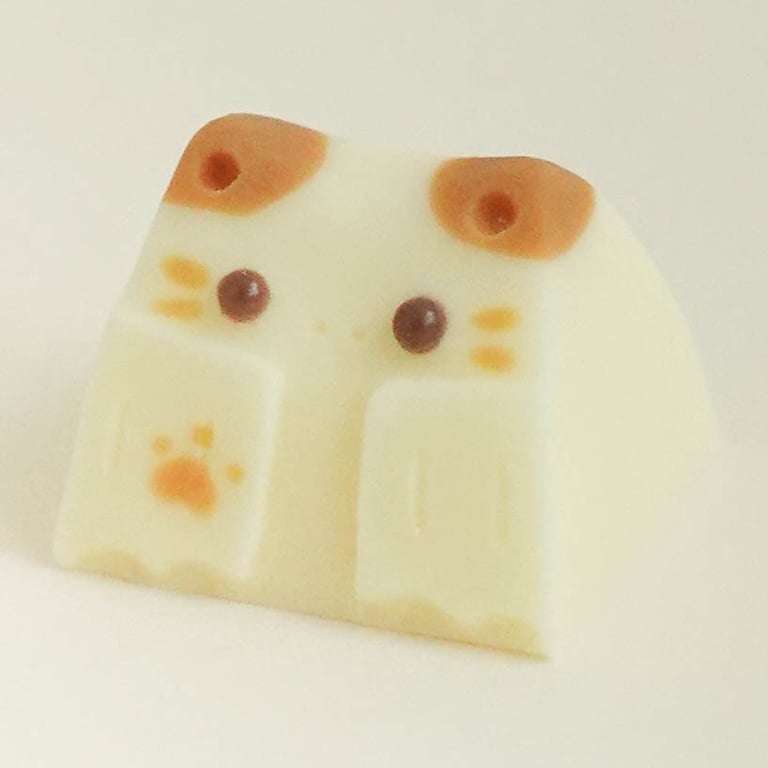 Nekoccino (KBM Nekoccino collab)