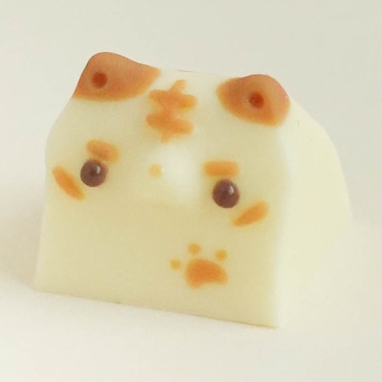 Nekoccino (KBM Nekoccino collab)