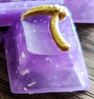 Fool's Fruit