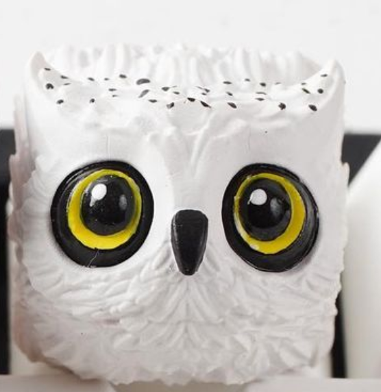 Hedwig
