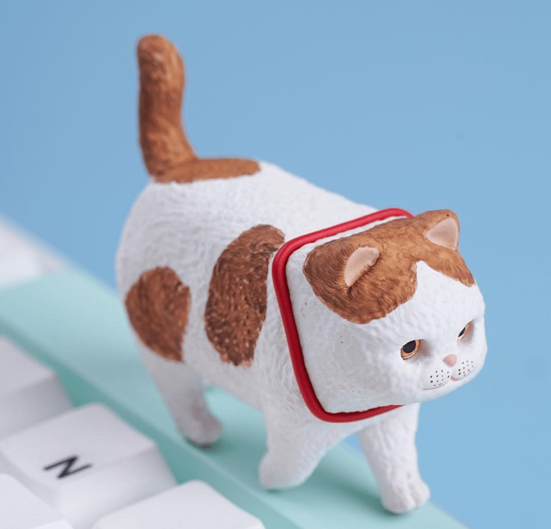 MeOw