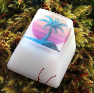 1984 Palm