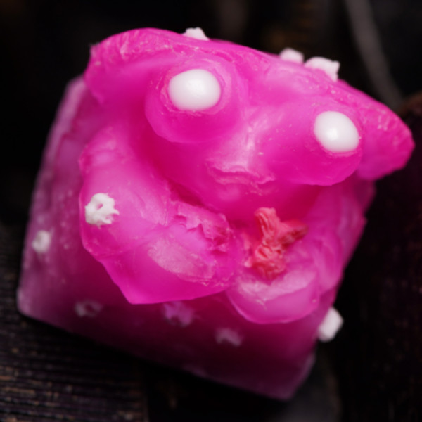 Shellby