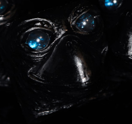 Cosmic Gaze