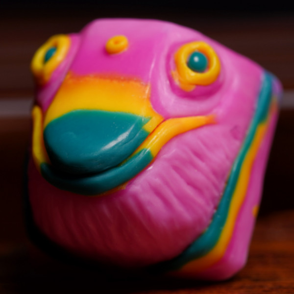 Toucan