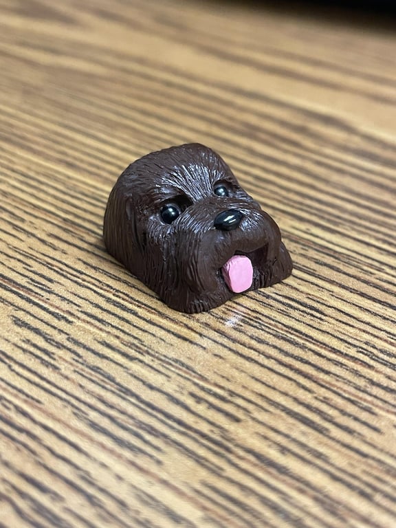 Brownie          V2