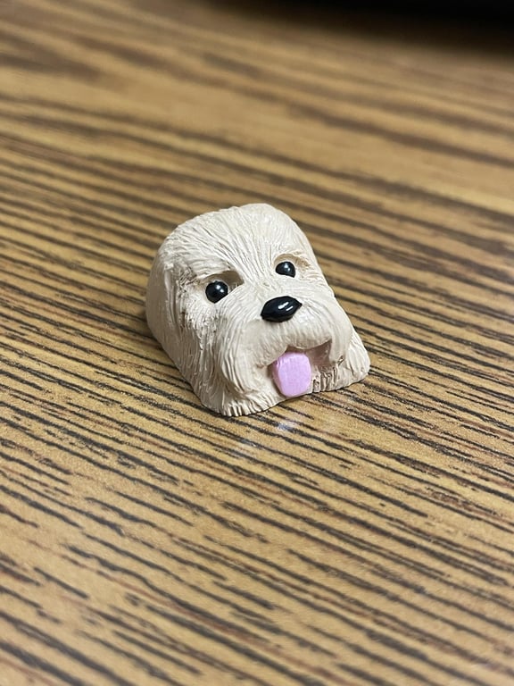 Finn V2