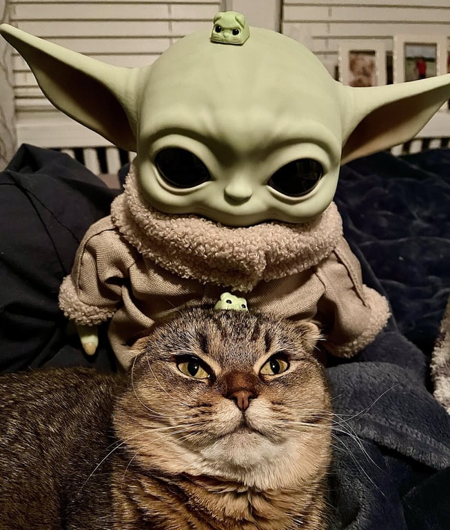 BB Yoda/Keesa
